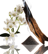 Narciso Rodriguez oud musc et ses notes olfactives