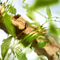 Lancôme Ôff Now - Eau de toilette