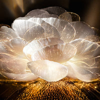 Lancôme Absolue l'extrait - La lotion élixir