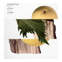 Hermès Terre d'Hermès - Profumo