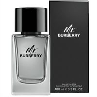burberry mr burberry eau de toilette