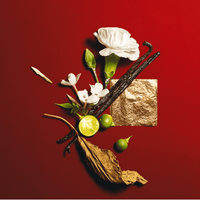 Yves Saint Laurent Opium - Agua de Colonia