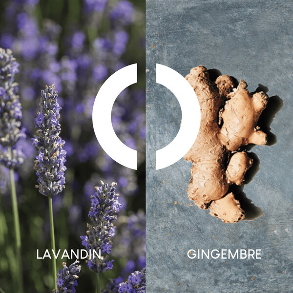 Pour un Homme Le Matin - Duschgel für Körper und Haare