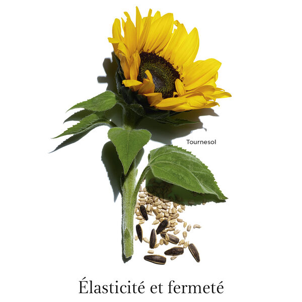 Clarins - Extra-Firming Hals und Dekolleté