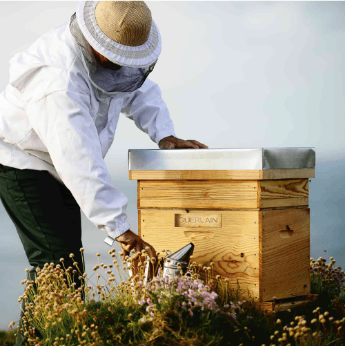 Guerlain Abeille Royale - Handhygiene- & Sanftheitsgel