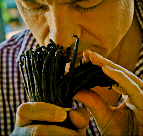 Guerlain Shalimar - Eau de parfum