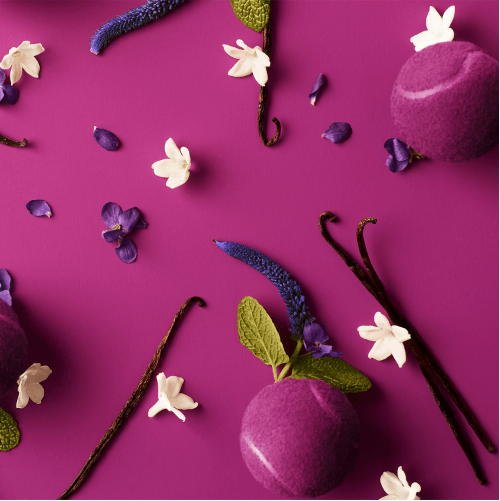 Lacoste L.12.12 Magnetic Pour Elle - Eau de parfum notas de fragancia