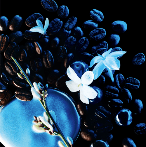 Yves Saint Laurent Opio Negro - Eau De Parfum Intenso