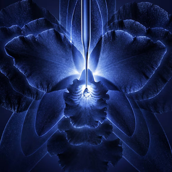 Guerlain Orchidée Impériale - La Crème Riche