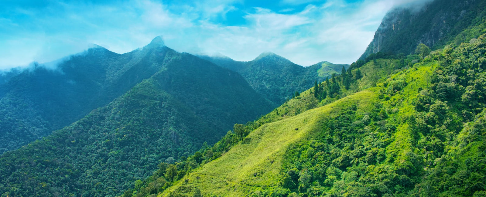 Montagnes verdoyantes sous un ciel bleu — la fraîcheur végétale du Vétiver Oriental de Serge Lutens chez Olara