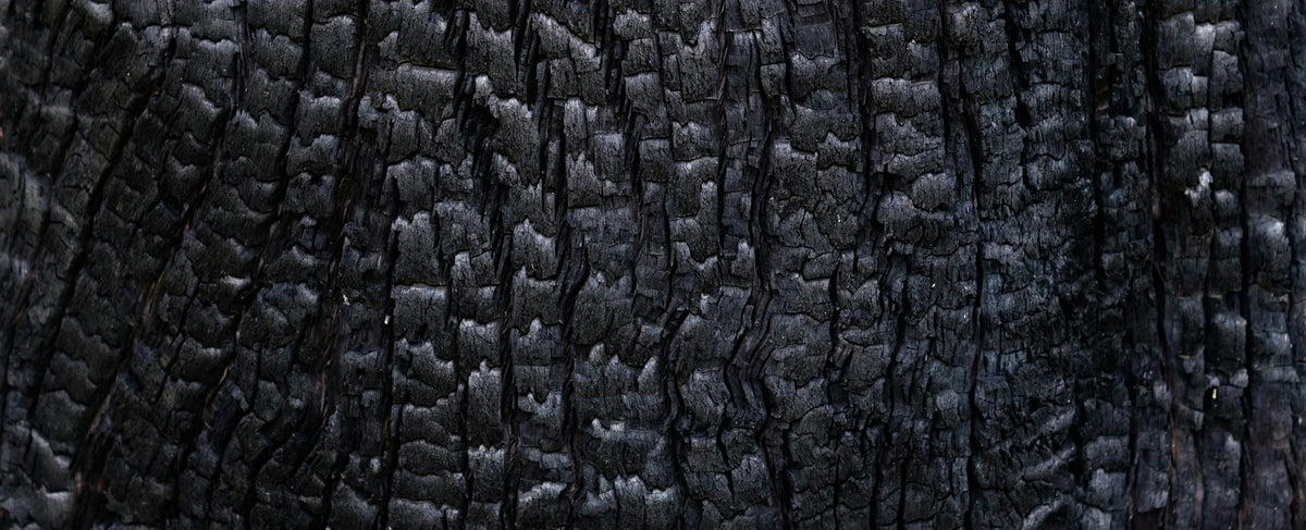 Texture de bois sombre brûlé aux veines profondes — l'univers boisé et fumé d'Oud Wood de Tom Ford et le charisme de Brad Pitt, par la parfumerie Olara