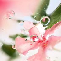 Lancôme Ôver the top - Eau de toilette