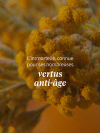 L'Occitane Baume Corps Immortelle-Karité
