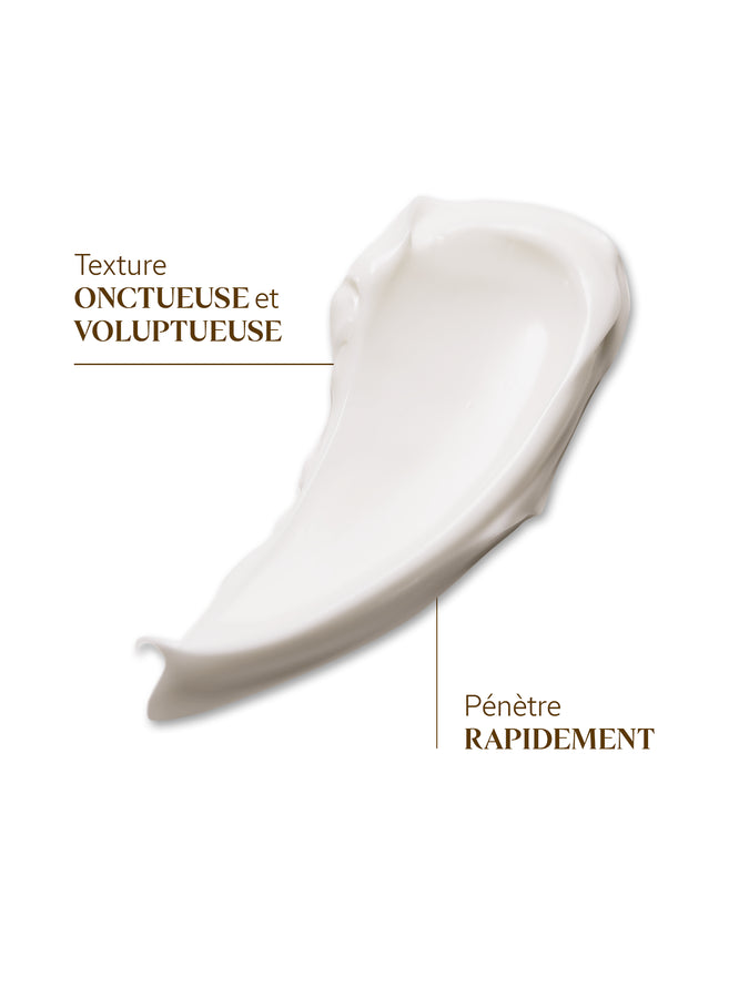 L'Occitane Baume Corps Immortelle-Karité-Parfumerie Olara-1