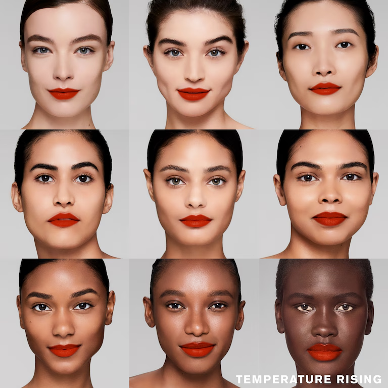 Estée Lauder Pure Color Explicit Rouge à lèvres Mat