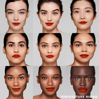Estée Lauder Pure Color Explicit Rouge à lèvres Mat