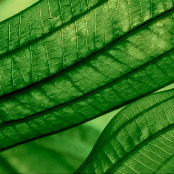 Biotherm - Sérum Concentré Hydratation Profonde et Lumière