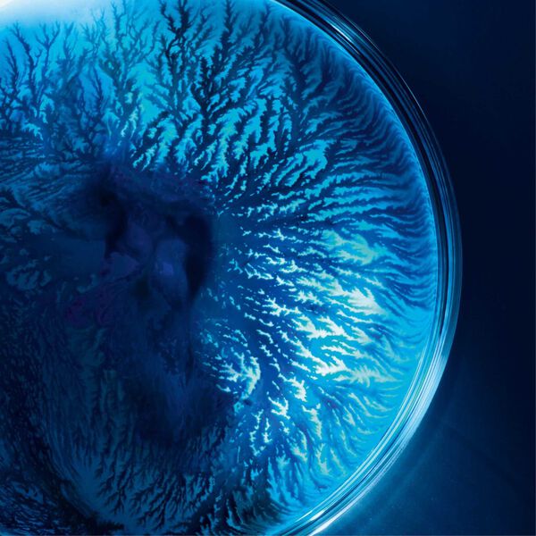 Biotherm - Life Plankton Masque Tissu Hydratant et Régénérant x6