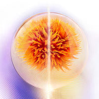 Shiseido Vital Perfection - Crème Jour Lift Fermeté SPF30