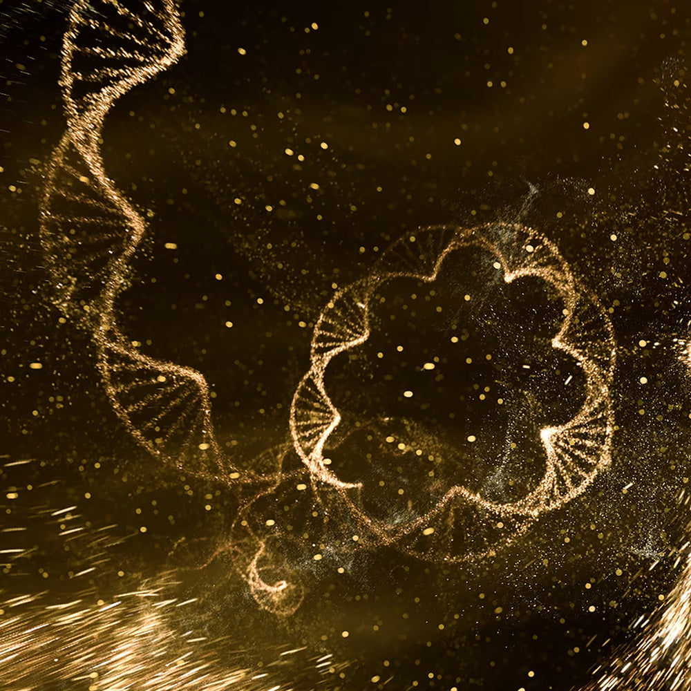 Shiseido Future Solution LX - Crème Nuit Régénérante Totale