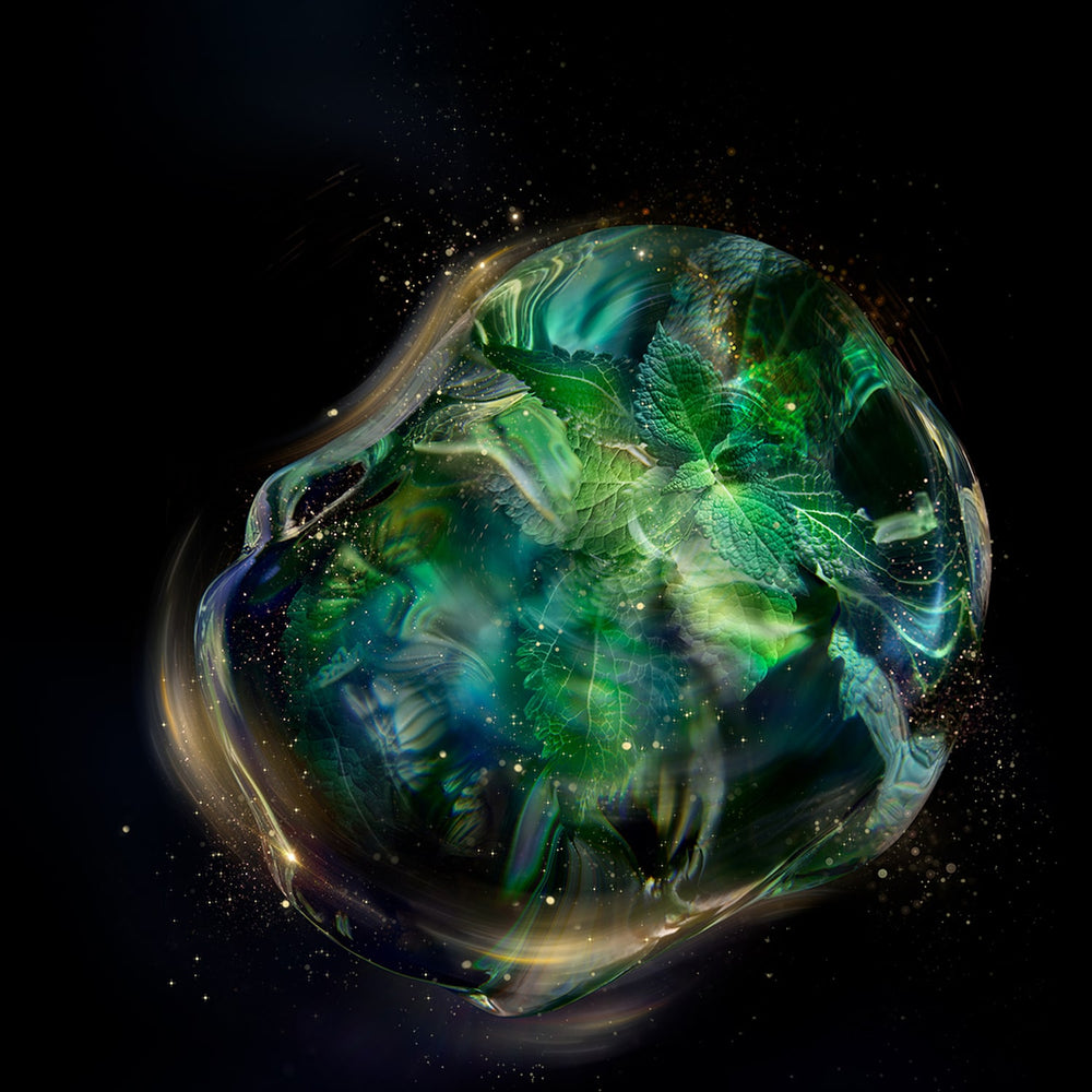 Shiseido Future Solution LX - Crème Régénérante Contour Yeux et Lèvres