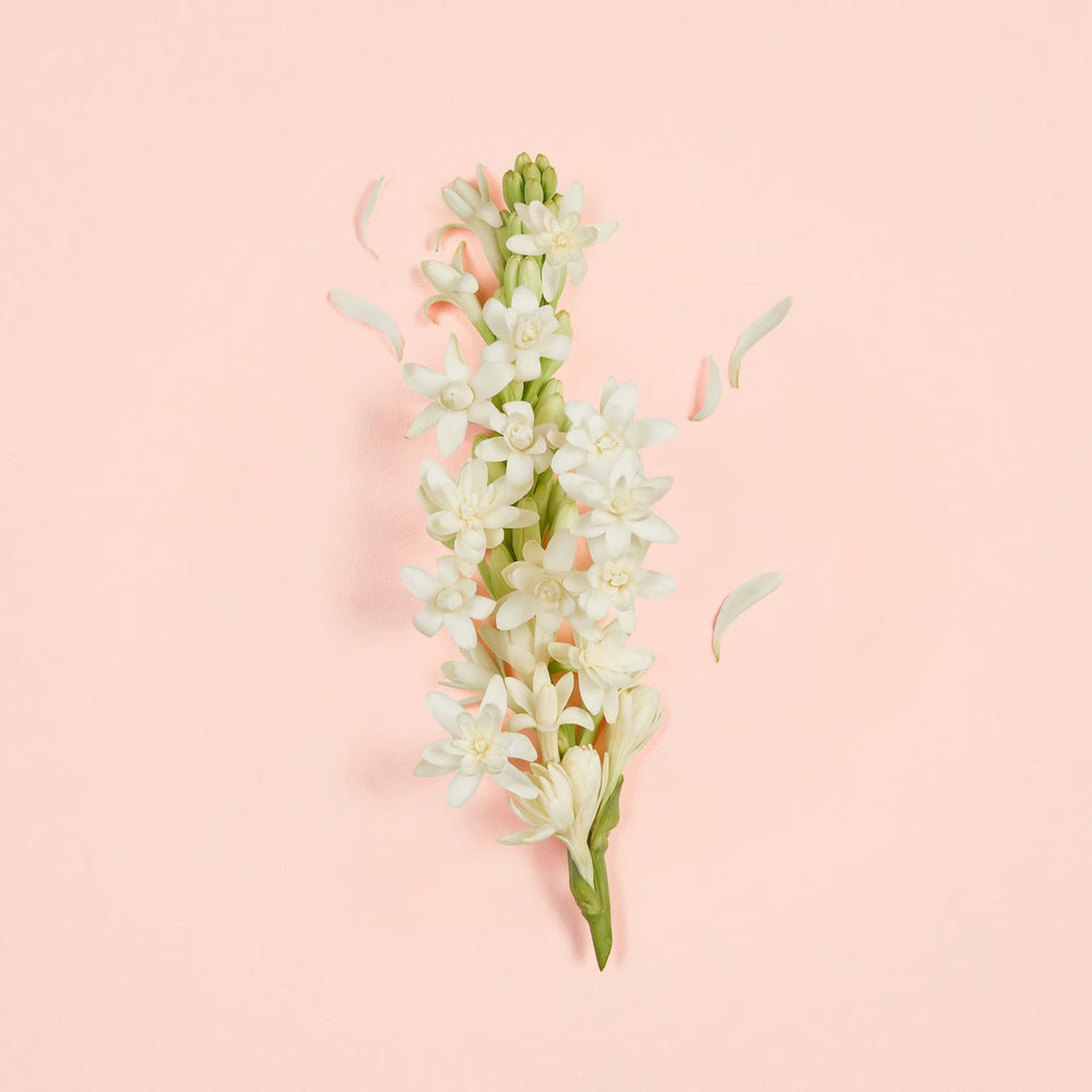 Gucci Bloom Ambrosia d'Oro- Eau de Parfum