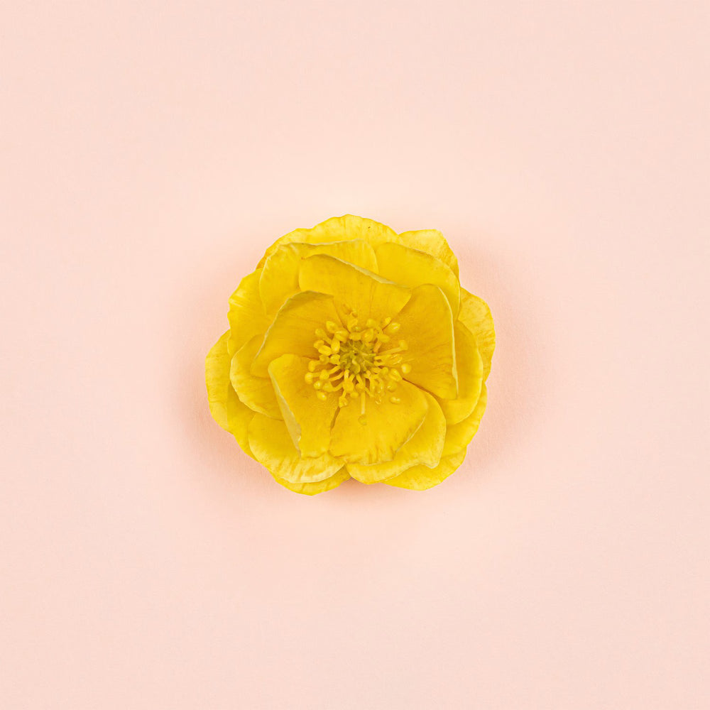Gucci Bloom Ambrosia d'Oro- Eau de Parfum