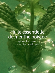 L'Occitane Après-Shampooing Fraîcheur Purifiante