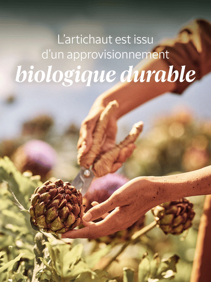 L'Occitane Gommage Corps Artichaut