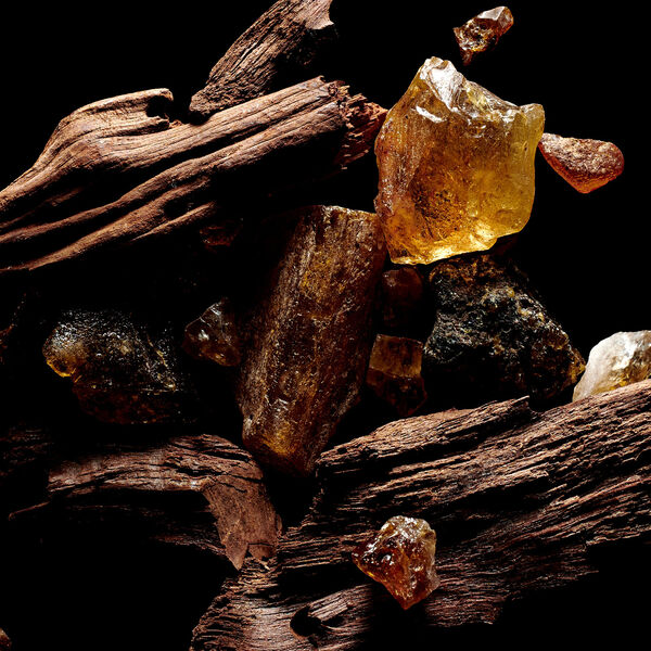 Kilian Paris - Sacred Wood