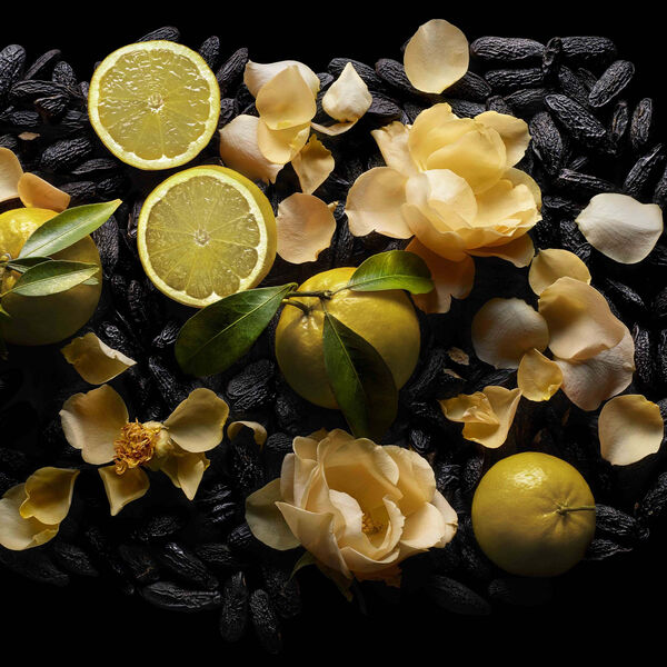 Kilian Paris - Woman in Gold