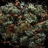 Kilian Paris - Straight to Heaven