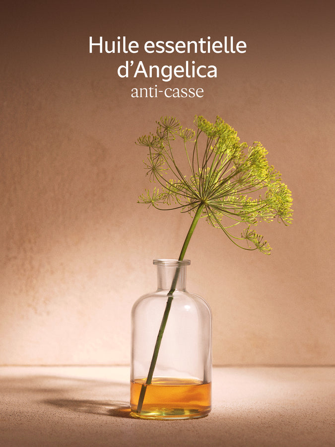 L'Occitane Shampooing Réparation Intense