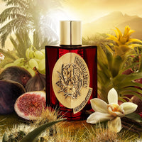 Etat Libre d'Orange Frustration