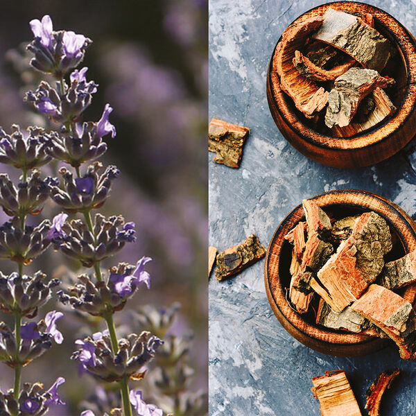Pour un Homme de Caron Le Soir - Duschgel für Körper und Haare