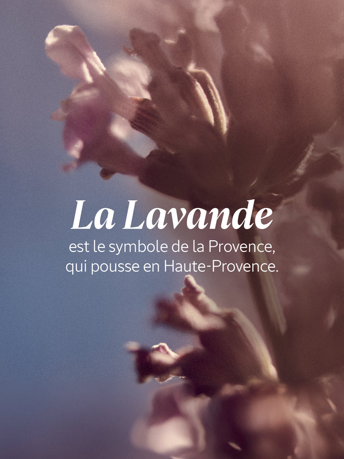 L'Occitane Bain Moussant Lavande 500ml-Parfumerie Olara-1 