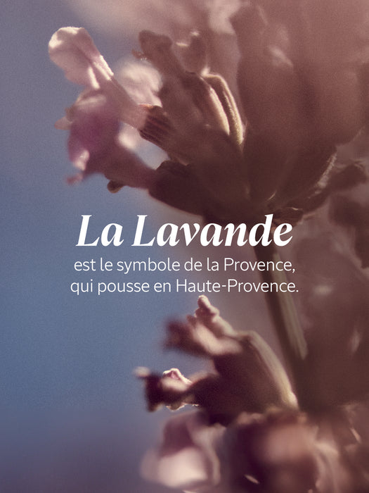 L'Occitane Bain Moussant Lavande 500ml