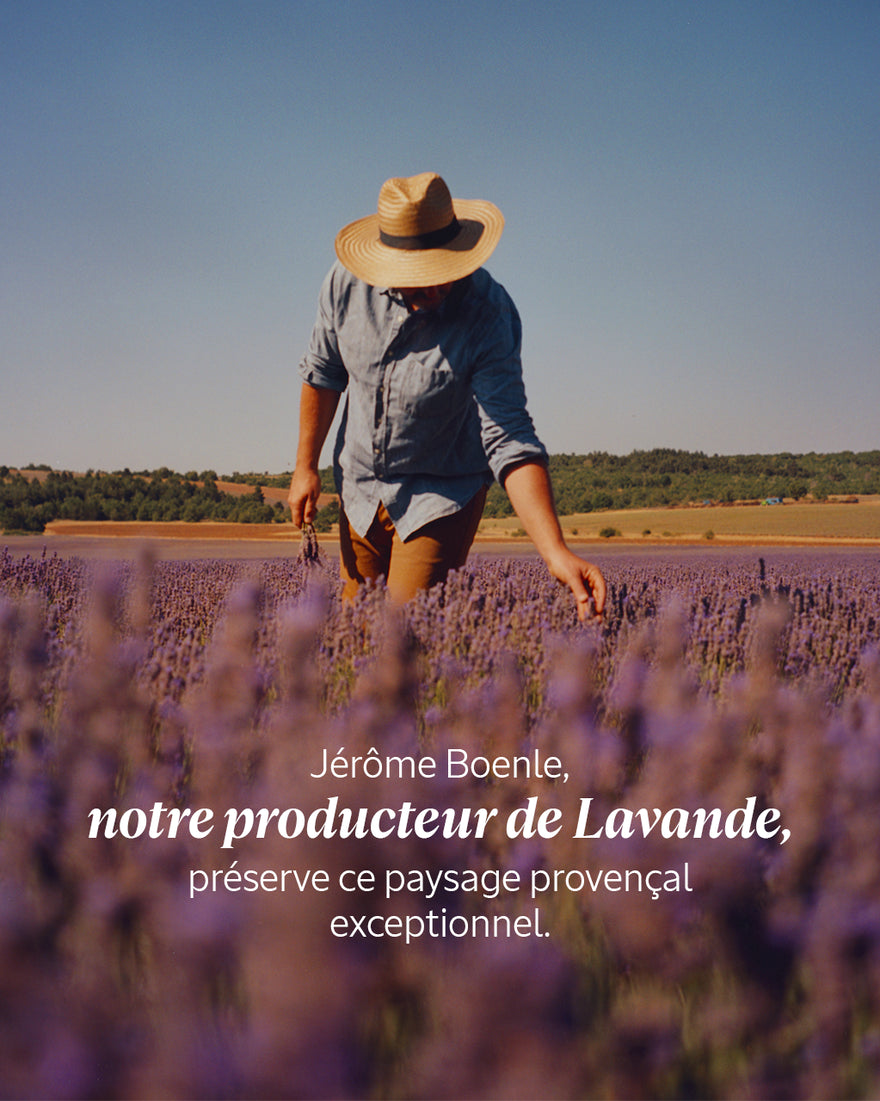 L'Occitane Crème Mains Lavande 30ml