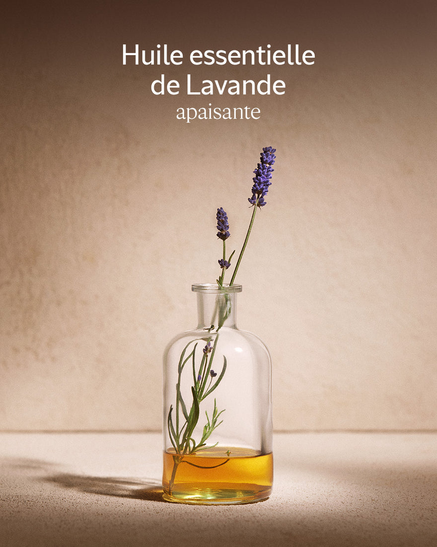 L'Occitane Shampooing Equilibre et Douceur