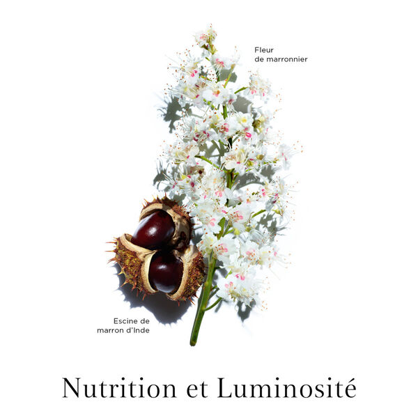 Clarins - Nutri-Lumière Jour