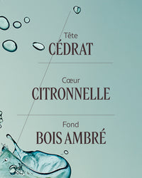 L'Occitane - Eau de toilette Cédrat