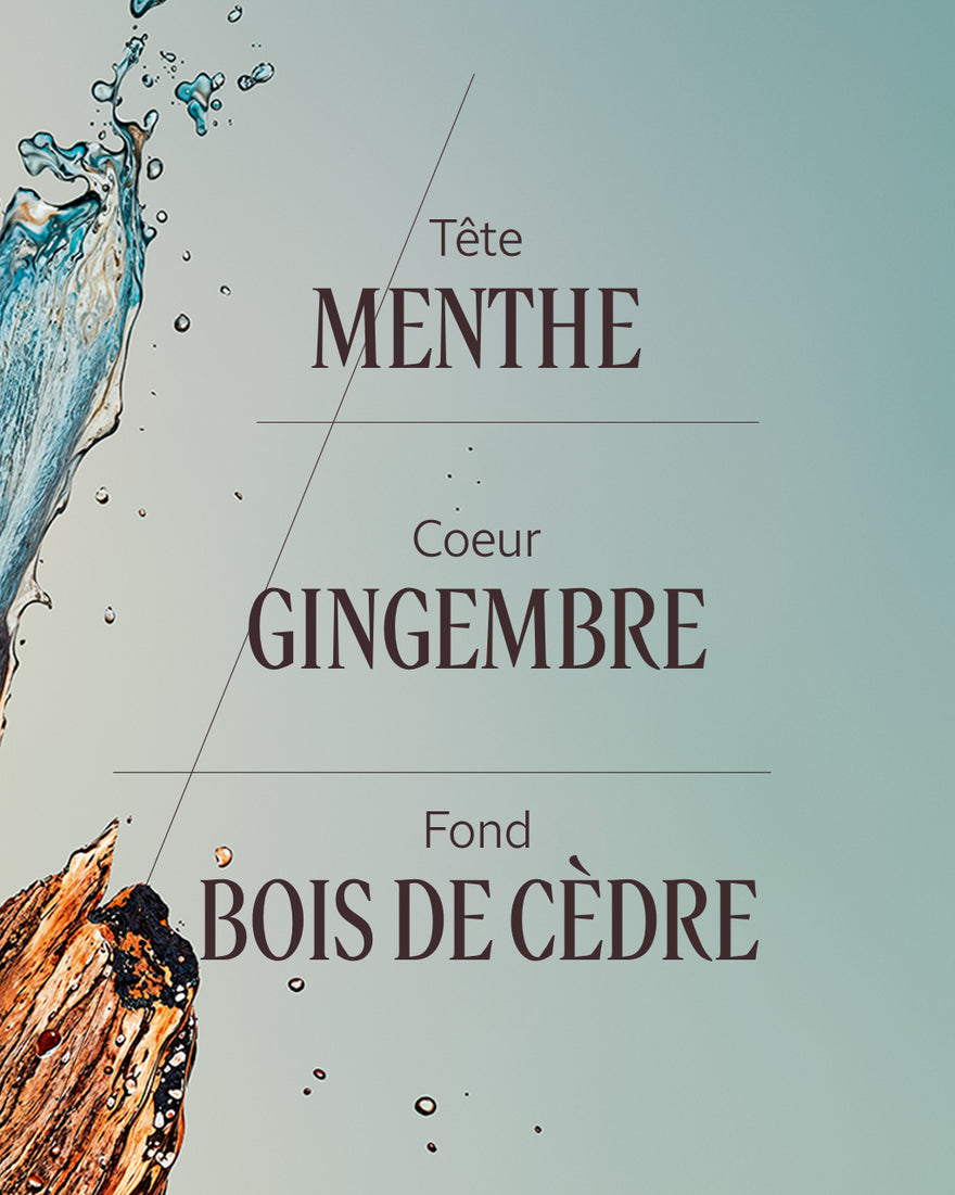 L'Occitane - Eau de toilette Cèdre Gingembre (Cap Cédrat)