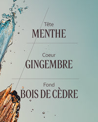 L'Occitane - Eau de toilette Cèdre Gingembre (Cap Cédrat)