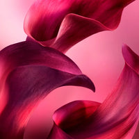 Lancôme La Vie Est Belle L'Elixir - Very Cherry