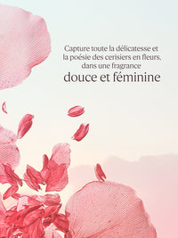 L'Occitane - Fleurs de Cerisier Eau de Toilette