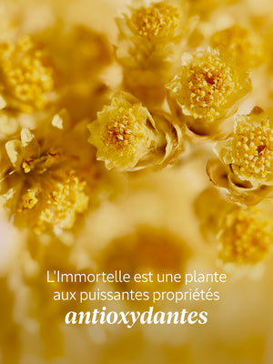 L'Occitane - Sérum Visage Reset Nuit