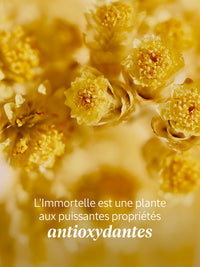 L'Occitane - Sérum Visage Reset Nuit