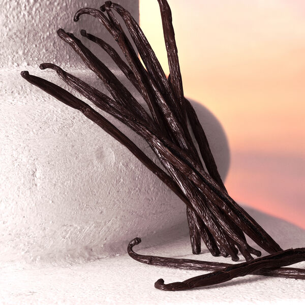 Dolce & Gabbana Devotion - Intensives Eau de Parfum