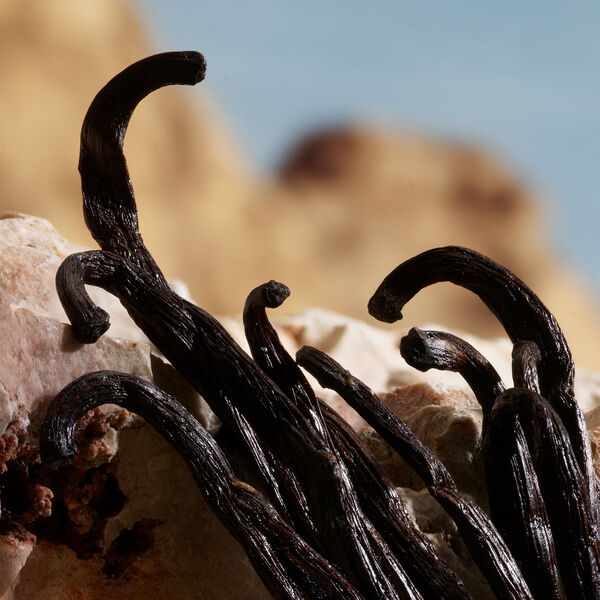 Dolce Gabbana Queen - Parfum