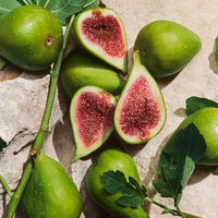 Dolce Gabbana Light Blue Capri In Love Homme - Eau de parfum